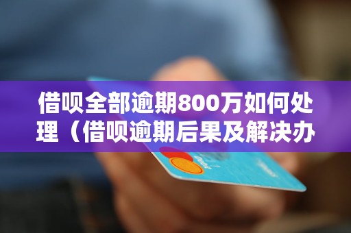 借呗全部逾期800万如何处理（借呗逾期后果及解决办法）