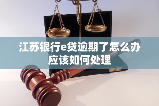 江苏银行e贷逾期了怎么办应该如何处理