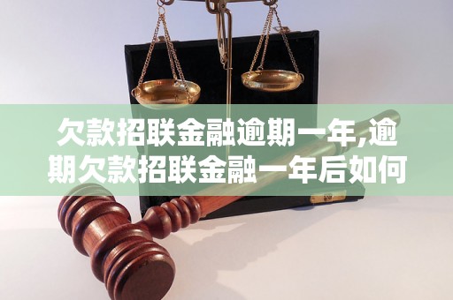 欠款招联金融逾期一年,逾期欠款招联金融一年后如何处理