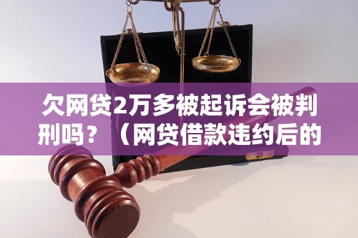 欠网贷2万多被起诉会被判刑吗？（网贷借款违约后的法律后果）