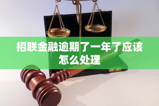 招联金融逾期了一年了应该怎么处理