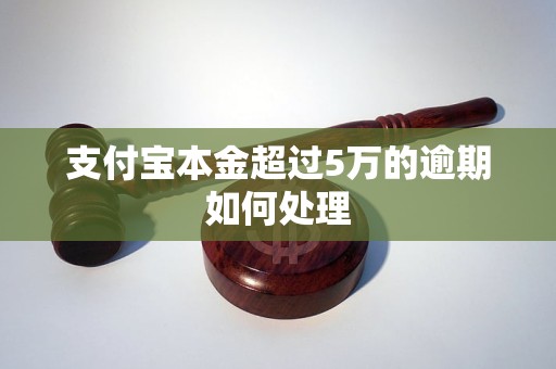 支付宝本金超过5万的逾期如何处理