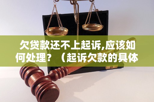 欠贷款还不上起诉,应该如何处理？（起诉欠款的具体步骤）