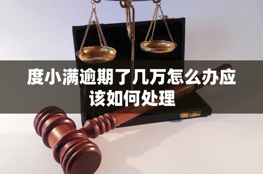 度小满逾期了几万怎么办应该如何处理