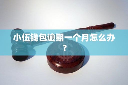 小伍钱包逾期一个月怎么办？