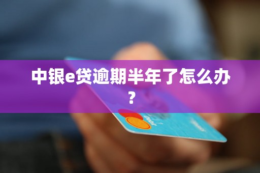 中银e贷逾期半年了怎么办？