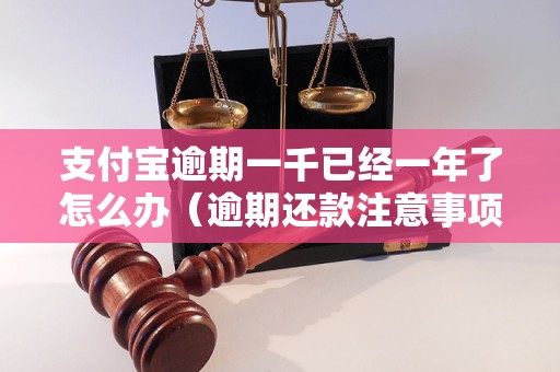 支付宝逾期一千已经一年了怎么办（逾期还款注意事项详解）