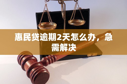 惠民贷逾期2天怎么办，急需解决