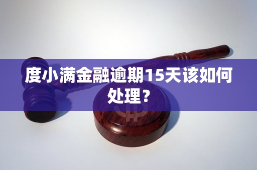 度小满金融逾期15天该如何处理？