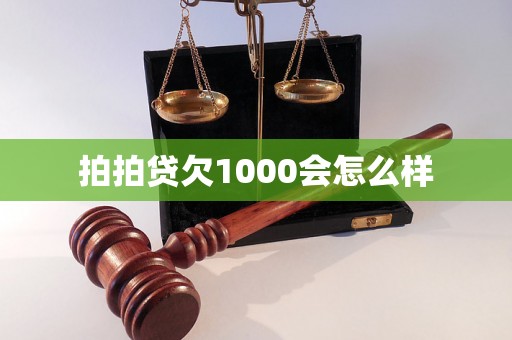 拍拍贷欠1000会怎么样