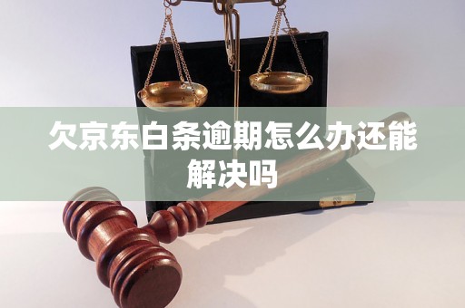 欠京东白条逾期怎么办还能解决吗