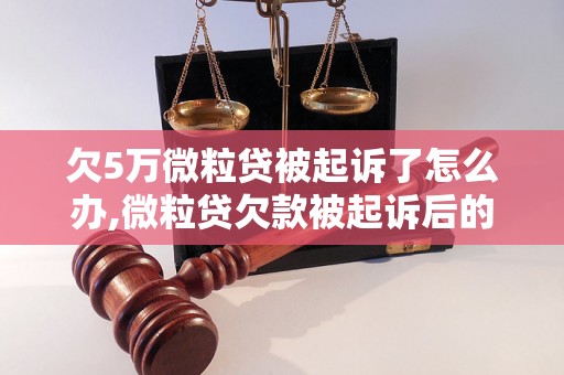 欠5万微粒贷被起诉了怎么办,微粒贷欠款被起诉后的处理措施