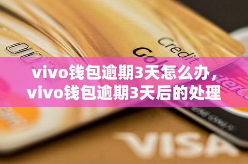 vivo钱包逾期3天怎么办，vivo钱包逾期3天后的处理方法