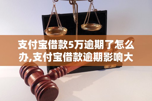 支付宝借款5万逾期了怎么办,支付宝借款逾期影响大吗