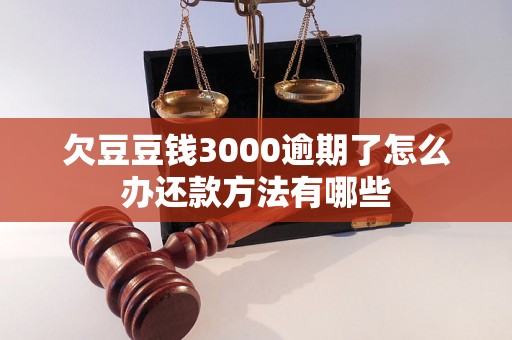 欠豆豆钱3000逾期了怎么办还款方法有哪些