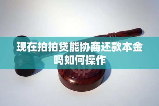 现在拍拍贷能协商还款本金吗如何操作