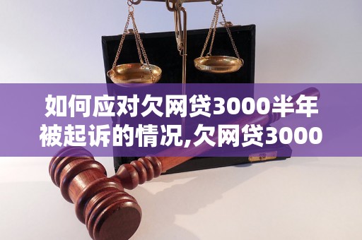 如何应对欠网贷3000半年被起诉的情况,欠网贷3000半年会有什么后果