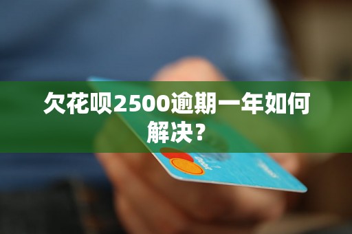 欠花呗2500逾期一年如何解决？