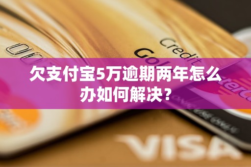 欠支付宝5万逾期两年怎么办如何解决？