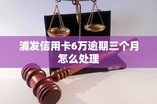 浦发信用卡6万逾期三个月怎么处理