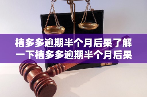 桔多多逾期半个月后果了解一下桔多多逾期半个月后果有哪些