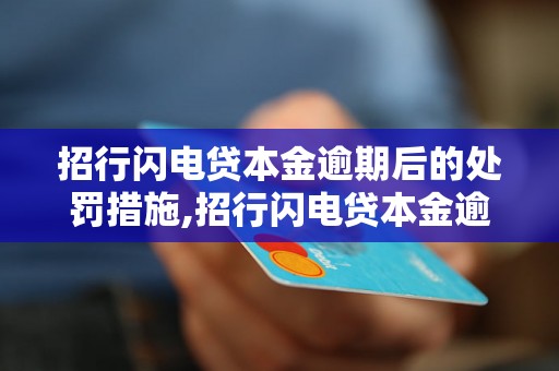 招行闪电贷本金逾期后的处罚措施,招行闪电贷本金逾期后的利息计算方法