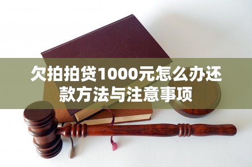 欠拍拍贷1000元怎么办还款方法与注意事项