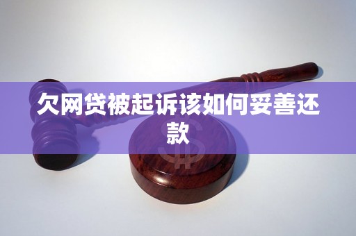 欠网贷被起诉该如何妥善还款