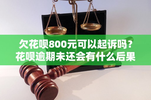 欠花呗800元可以起诉吗？花呗逾期未还会有什么后果？