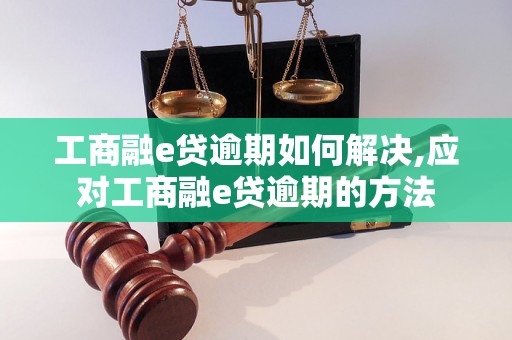 工商融e贷逾期如何解决,应对工商融e贷逾期的方法