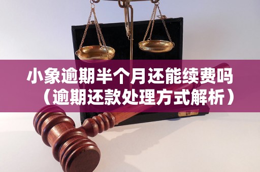 小象逾期半个月还能续费吗（逾期还款处理方式解析）