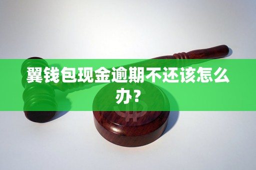 翼钱包现金逾期不还该怎么办？