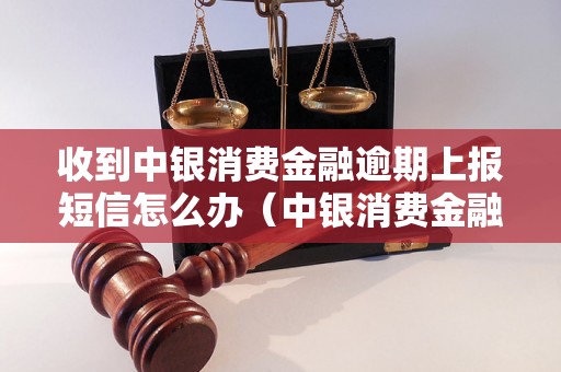 收到中银消费金融逾期上报短信怎么办（中银消费金融逾期处理方法）