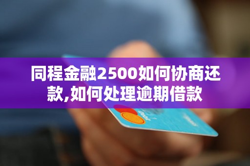 同程金融2500如何协商还款,如何处理逾期借款