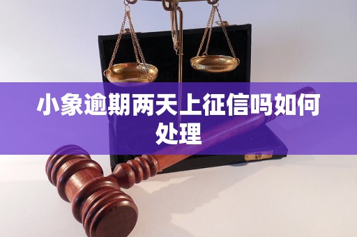 小象逾期两天上征信吗如何处理