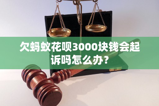 欠蚂蚁花呗3000块钱会起诉吗怎么办？