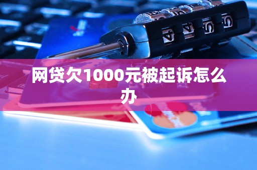 网贷欠1000元被起诉怎么办