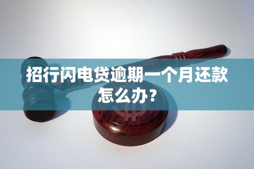 招行闪电贷逾期一个月还款怎么办？