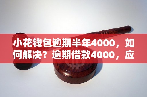 小花钱包逾期半年4000，如何解决？逾期借款4000，应该如何妥善处理？