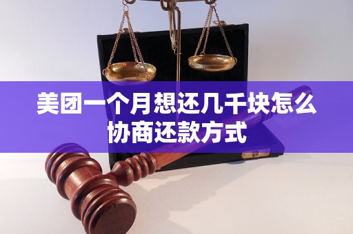 美团一个月想还几千块怎么协商还款方式