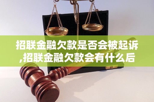 招联金融欠款是否会被起诉,招联金融欠款会有什么后果