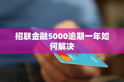 招联金融5000逾期一年如何解决