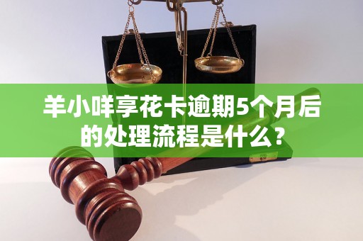 羊小咩享花卡逾期5个月后的处理流程是什么？