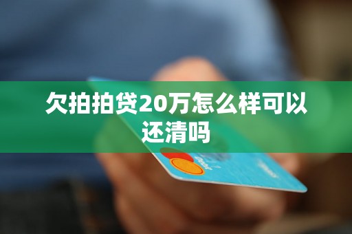 欠拍拍贷20万怎么样可以还清吗