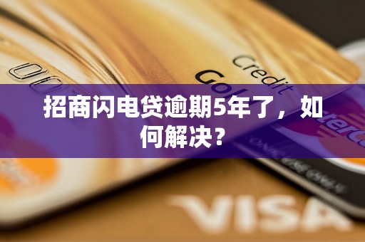 招商闪电贷逾期5年了，如何解决？