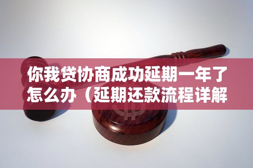 你我贷协商成功延期一年了怎么办（延期还款流程详解）