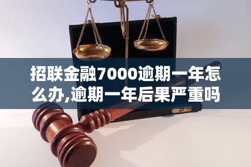 招联金融7000逾期一年怎么办,逾期一年后果严重吗