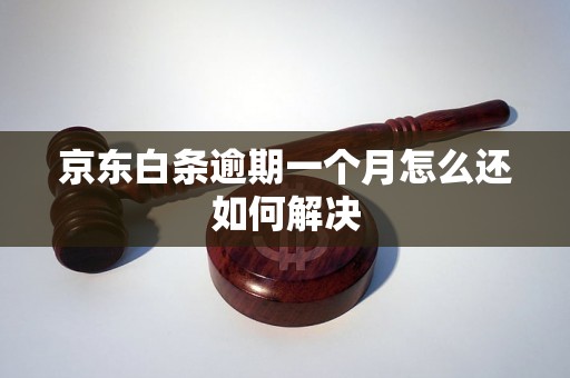 京东白条逾期一个月怎么还如何解决