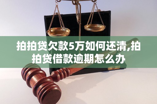 拍拍贷欠款5万如何还清,拍拍贷借款逾期怎么办