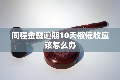 同程金融逾期10天被催收应该怎么办